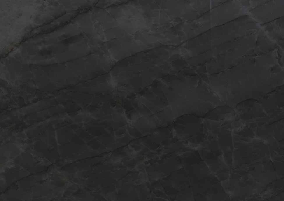 Find what you are looking for in our catalog!