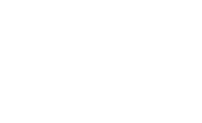 Lapitec company