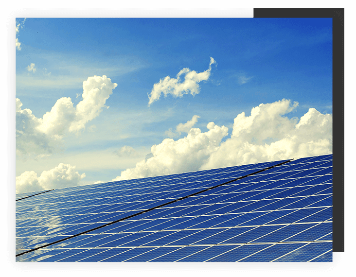 Dorym cares about the environment